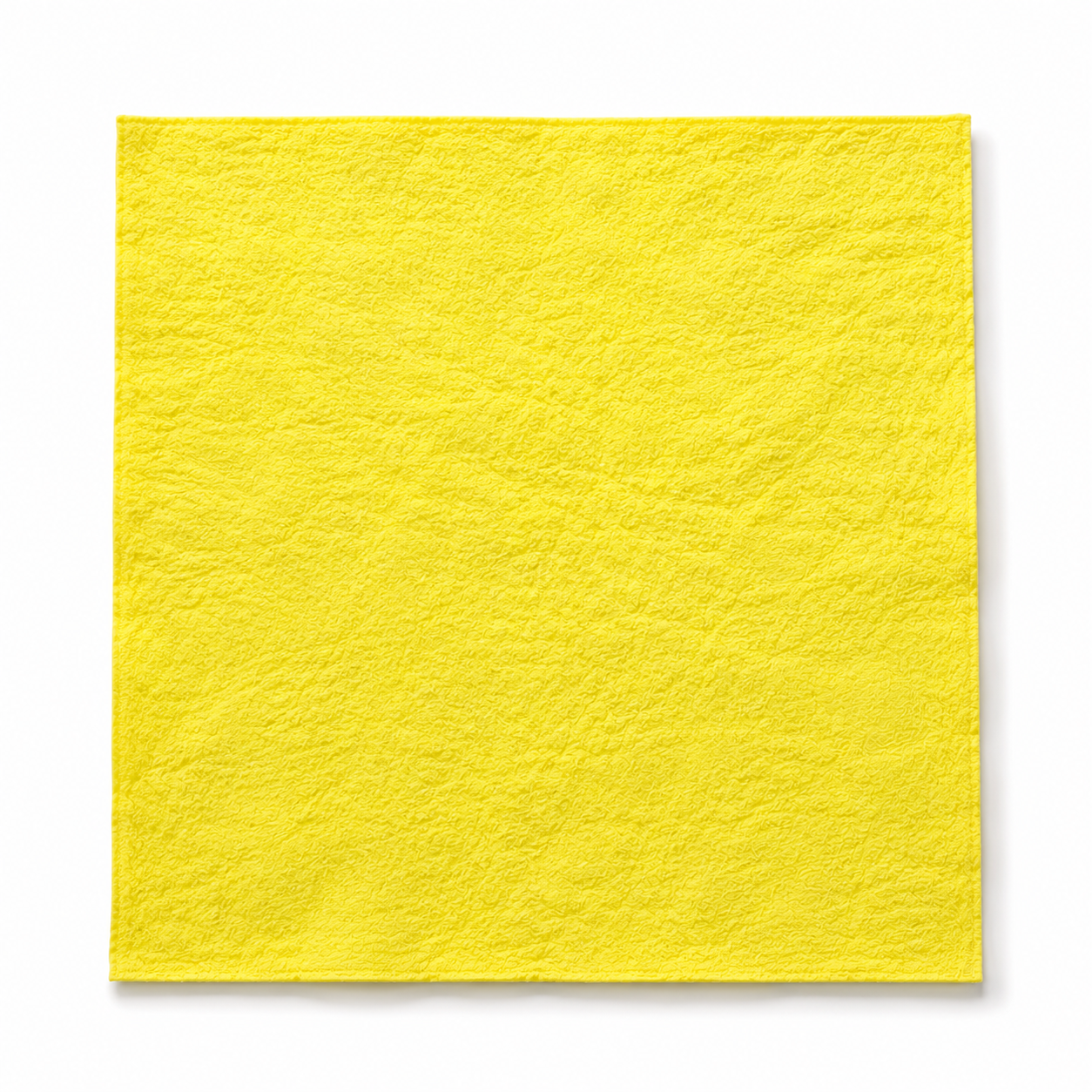 Paw Cleaning Cloths