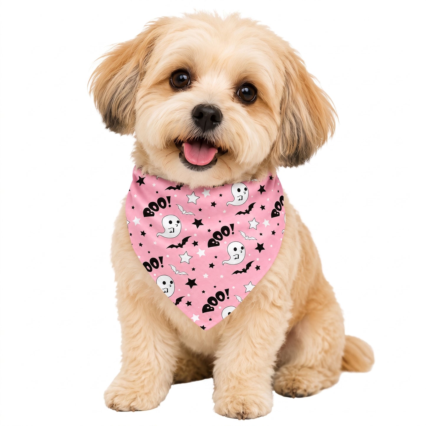 Halloween Pet Bandanas – 2 Pack